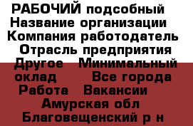 РАБОЧИЙ подсобный › Название организации ­ Компания-работодатель › Отрасль предприятия ­ Другое › Минимальный оклад ­ 1 - Все города Работа » Вакансии   . Амурская обл.,Благовещенский р-н